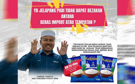 YB JELAPANG PADI TAK DAPAT BEZAKAN ANTARA BERAS IMPORT ATAU TEMPATAN?