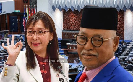 AHLI PARLIMEN BERSATU LANGKAWI BAYANGKAN TERESA KOK TAK PAKAI APA APA KE LANGKAWI