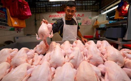 TIADA LAGI SUBSISDI HARGA AYAM BERMULA 1 NOVEMBER