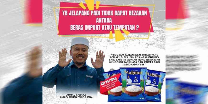 YB JELAPANG PADI TAK DAPAT BEZAKAN ANTARA BERAS IMPORT ATAU TEMPATAN?