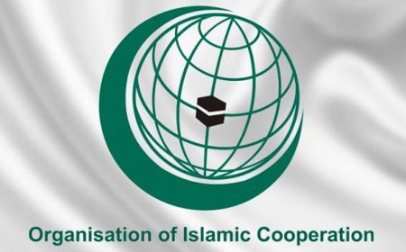 ARAB SAUDI ANJUR SIDANG KEMUNCAK LUAR BIASA MENGENAI KONFLIK GAZA