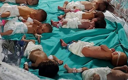 KEKEJAMAN ZIONIS: BAYI PRAMATANG DALAM RISIKO BESAR DI AL-SHIFA