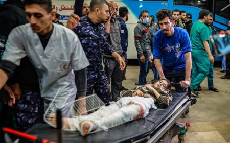 KONFLIK PALESTIN: ENAM PERKARA MALAYSIA KEMUKA DIMASUK DALAM RESOLUSI OIC