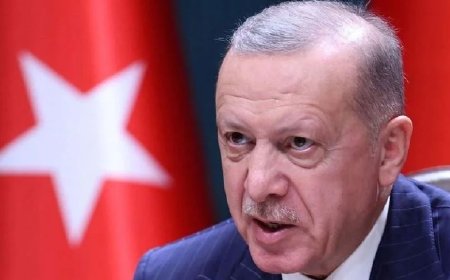 Erdogan gelar Netanyahu 'pembunuh kejam Gaza'