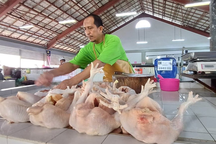 TANPA SUBSIDI HARGA AYAM MAKIN MURAH