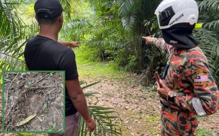 Terselamat daripada 'Pak Belang' berkat doa Nabi Sulaiman