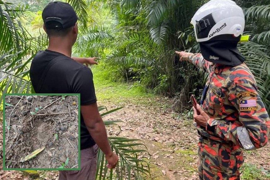 Terselamat daripada 'Pak Belang' berkat doa Nabi Sulaiman