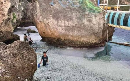 Ribuan ikan terdampar di pantai, penduduk bimbang bencana alam