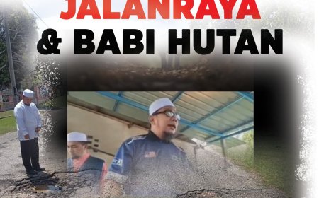 ADUN PAS Jengka, jalanraya dan babi di hutan
