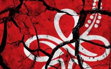 Bersatu akan berdepan krisis perlembagaan parti