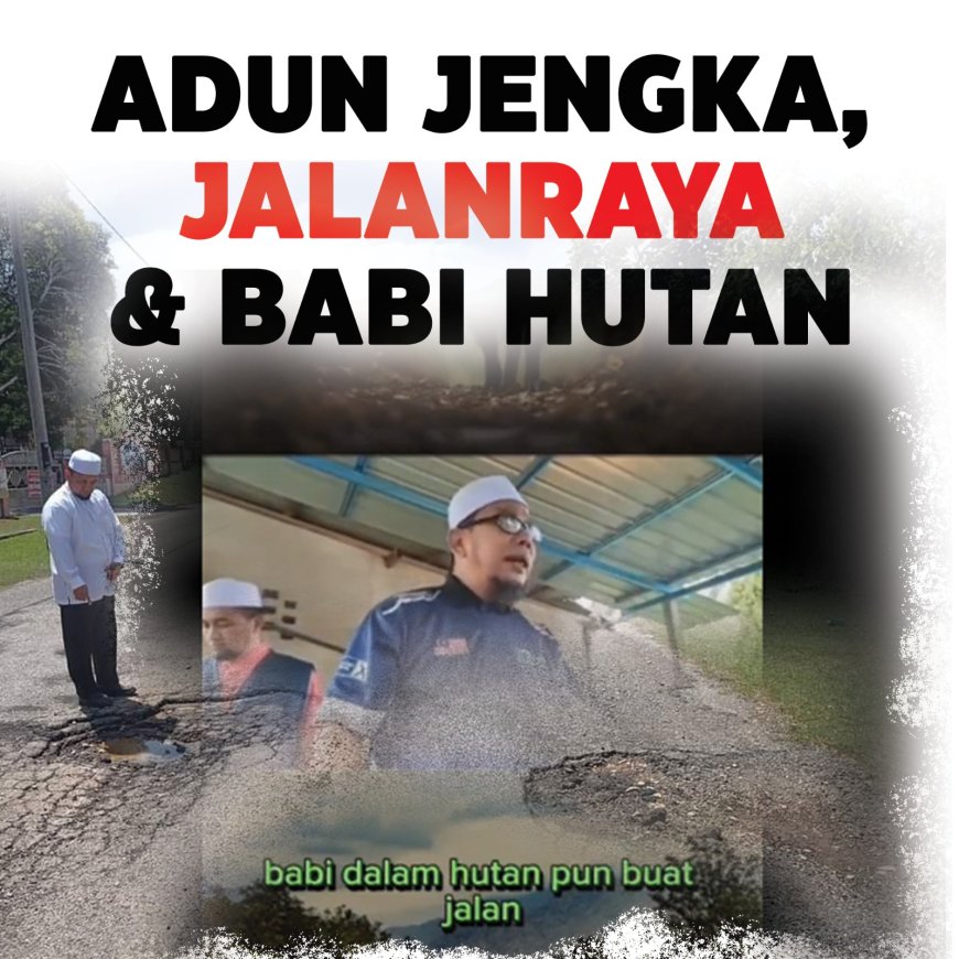 ADUN PAS Jengka, jalanraya dan babi di hutan
