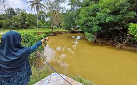 Kemunculan buaya di Gudang Rasau perkara biasa bagi penduduk