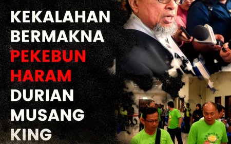 Kekalahan bermakna pekebun haram durian Musang King