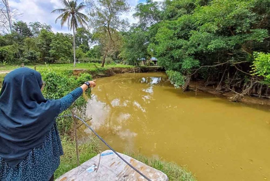 Kemunculan buaya di Gudang Rasau perkara biasa bagi penduduk
