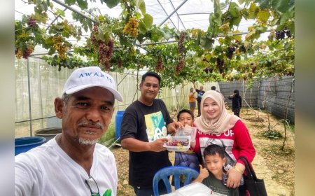 Pusat Pertanian Temin menjadi tumpuan