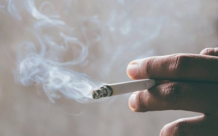 Rebah akibat rokok tercemar