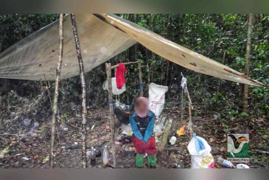 Warga Kemboja ditahan Perhilitan Pahang