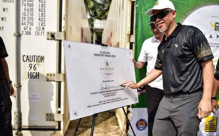 Yayasan Pahang eksport nanas ke pasaran UAE