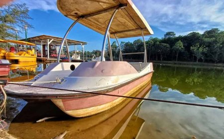 Misteri tasik Taman Bandar berbau busuk dirungkai