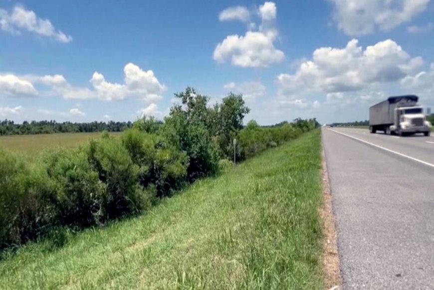 Bayi 12 bulan merangkak tepi lebuh raya