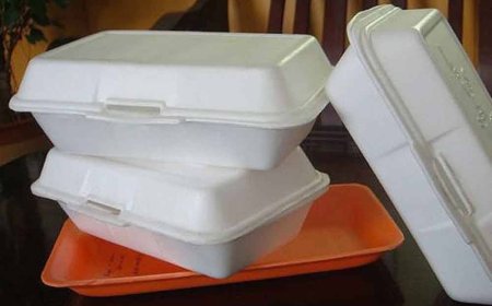 Tiada lagi bekas makanan polisterin mulai 1 Julai