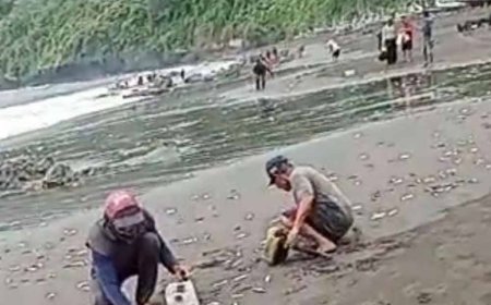 Fenomena ikan naik ke darat, petanda bencana besar?