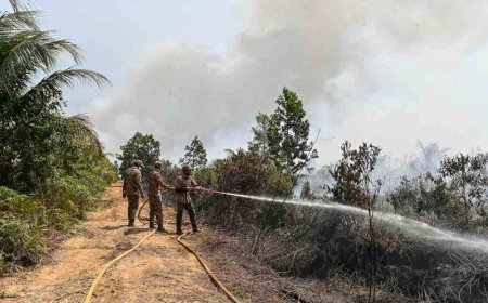Kawasan ladang kelapa terbakar meningkat kepada 130 hektar