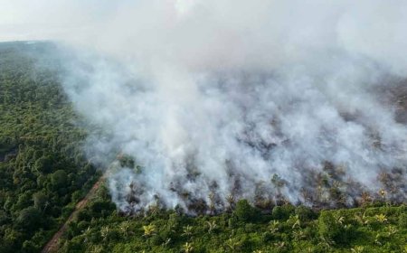 Operasi padam kebakaran ladang kelapa di Gebeng ditamatkan