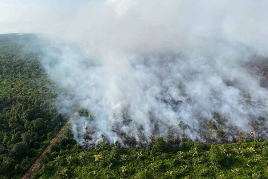Operasi padam kebakaran ladang kelapa di Gebeng ditamatkan