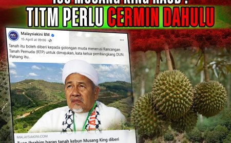 Isu Musang King Raub : TITM Perlu Cermin Dahulu