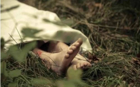 Dua hari hilang, lelaki ditemui mati dalam kebun