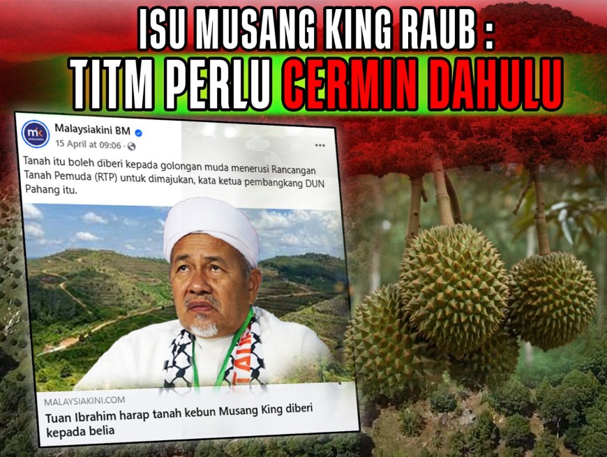 Isu Musang King Raub : TITM Perlu Cermin Dahulu