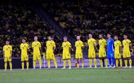 'Tak salah bawa masuk lebih ramai pemain warisan perkuat Harimau Malaya'