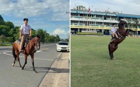Pelajar tunggang kuda ke sekolah demi jimat kos minyak