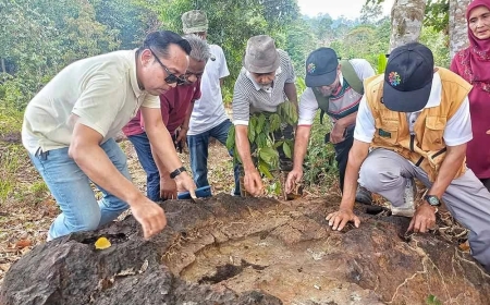 Penduduk jumpa kesan tapak kaki, tangan manusia 'gergasi'