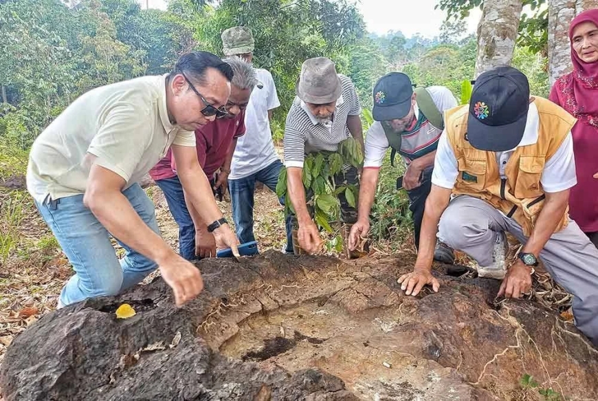 Penduduk jumpa kesan tapak kaki, tangan manusia 'gergasi'