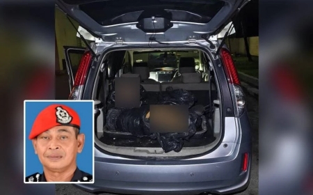 Tiga lelaki ditahan simpan bangkai harimau belang