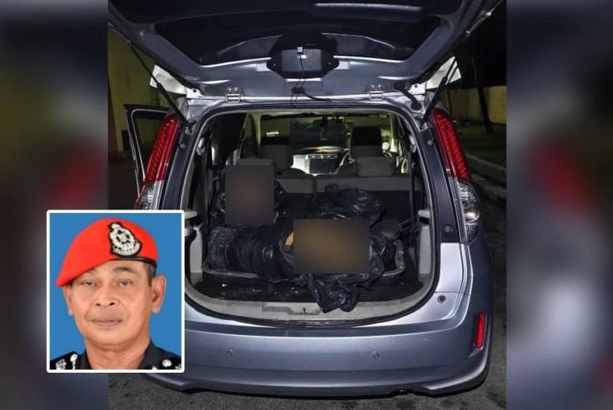 Tiga lelaki ditahan simpan bangkai harimau belang