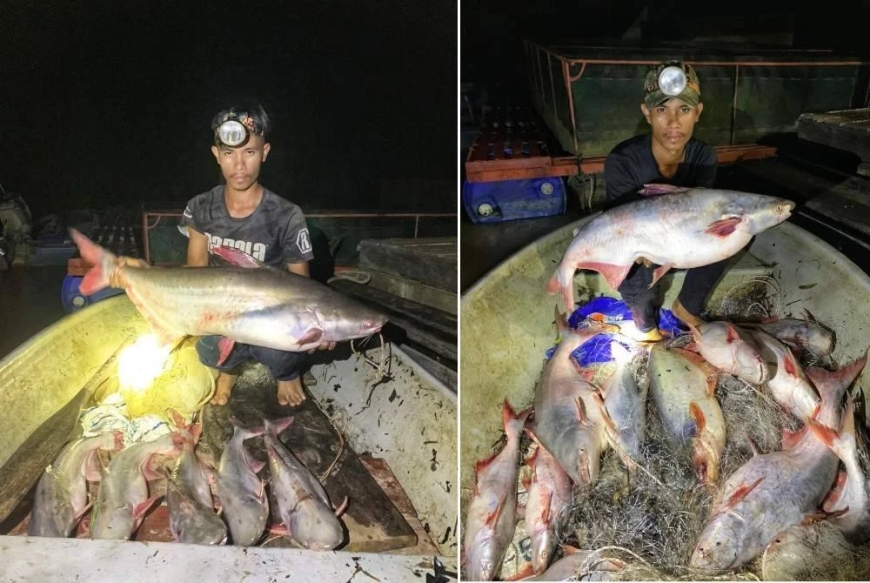 Rezeki terpijak dapat 12 patin 'kayangan'