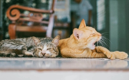 Orang yang tenang tidak mudah menghakimi orang lain