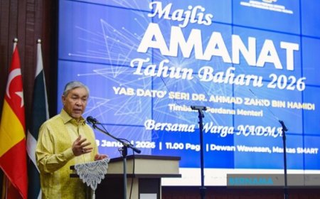 Majlis Pengurusan Bencana Negara Bakal Ditubuh, Selaras Pengurusan Bencana