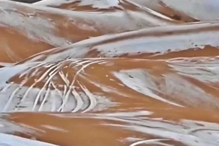 Fenomena luar biasa, Gurun Sahara dilitupi salji