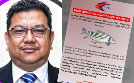 Ikan Temoleh kekal dilindungi, tiada kes dalam tempoh 10 tahun