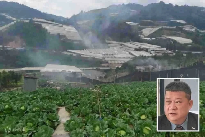 Cameron Highlands bakal ada hub borong, atasi isu harga sayur