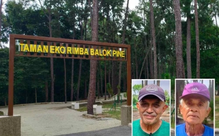 Pesona Taman Eko Rimba Balok Pine