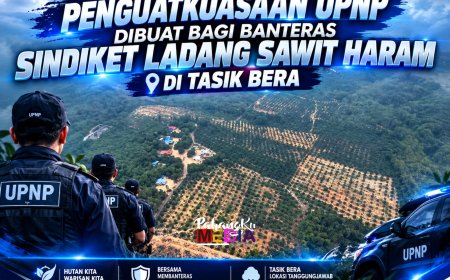 Penguatkuasaan UPNP Dibuat Bagi Banteras Sindiket Ladang Sawit Haram Di Tasik Bera