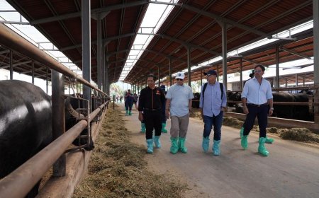 Pahang Teroka Kerjasama Industri Kerbau Tenusu di Itali