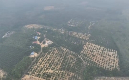 NRES Sokong Operasi Bersepadu Lindungi Hutan Simpan Tasek Bera