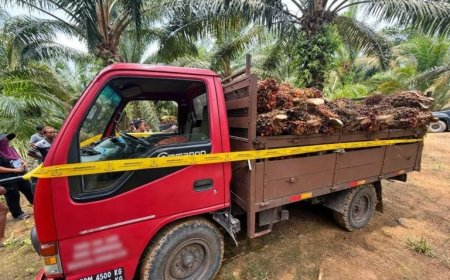 Lori Muatan Sawit Disita, Dua Individu Ditahan Dalam Operasi Penguatkuasaan di Tasek Bera